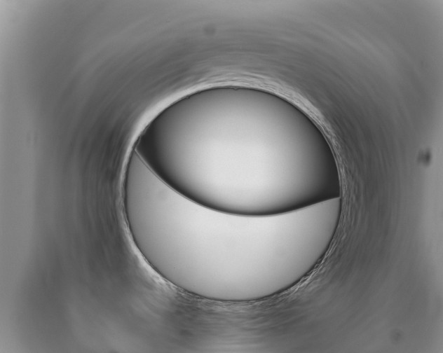 X0000090881536200707271005