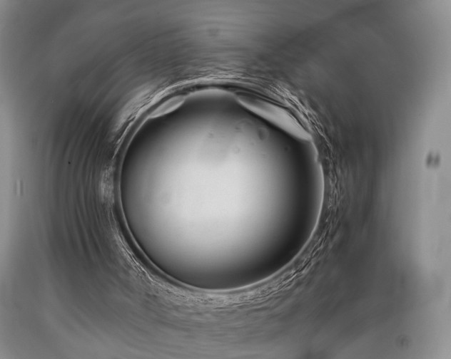X0000090880002200707271321