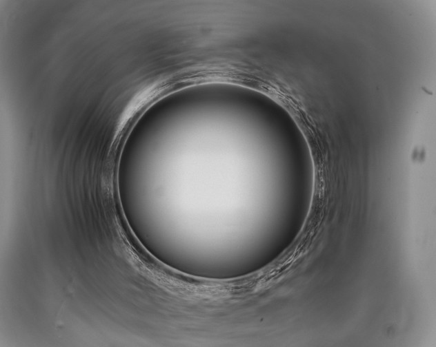 X0000090880004200707271321