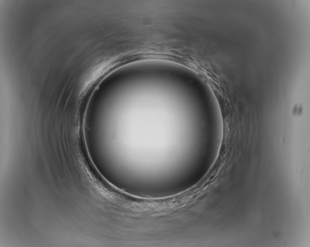 X0000090880005200707271321