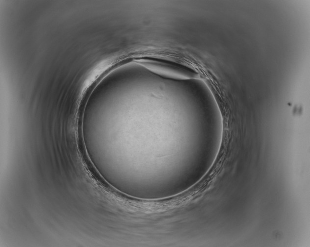 X0000090880006200707271321