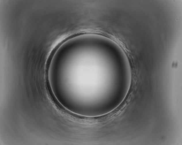 X0000090880008200707271321