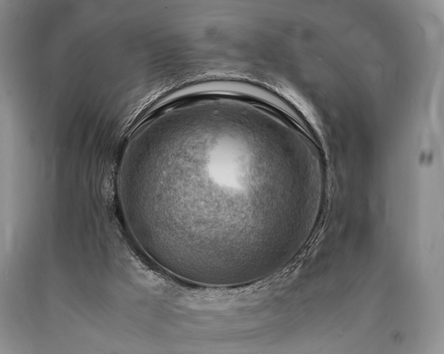 X0000090880009200707271321
