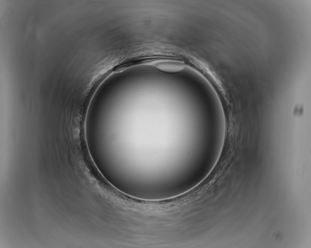 X0000090880010200707271321