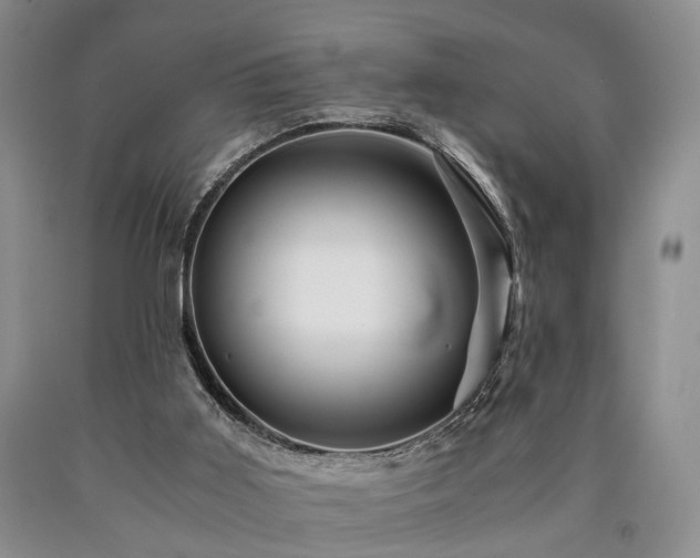 X0000090880011200707271321