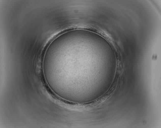 X0000090880012200707271321