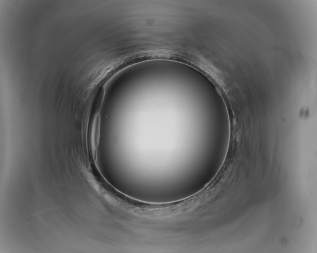 X0000090880013200707271321