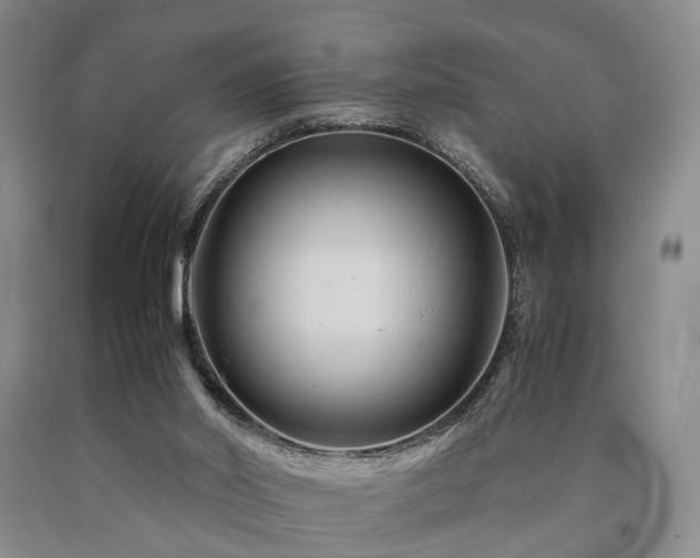 X0000090880014200707271321