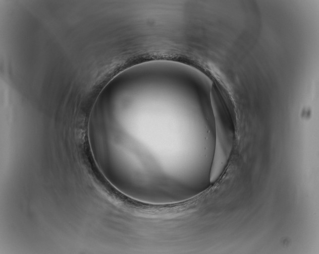 X0000090880017200707271321
