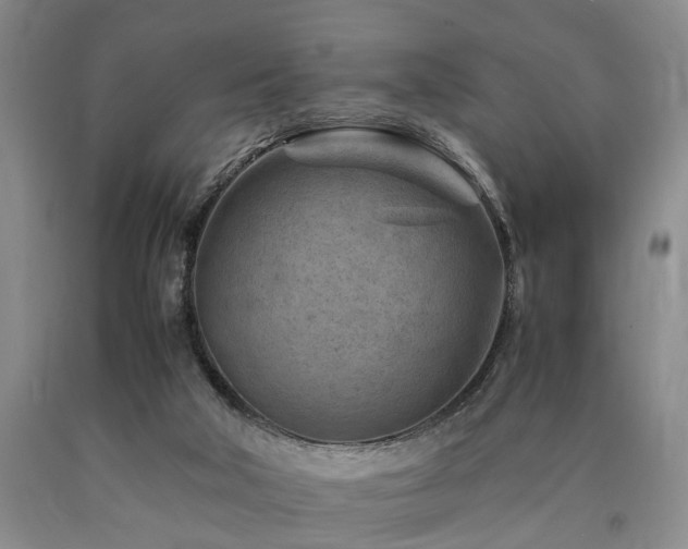 X0000090880018200707271321
