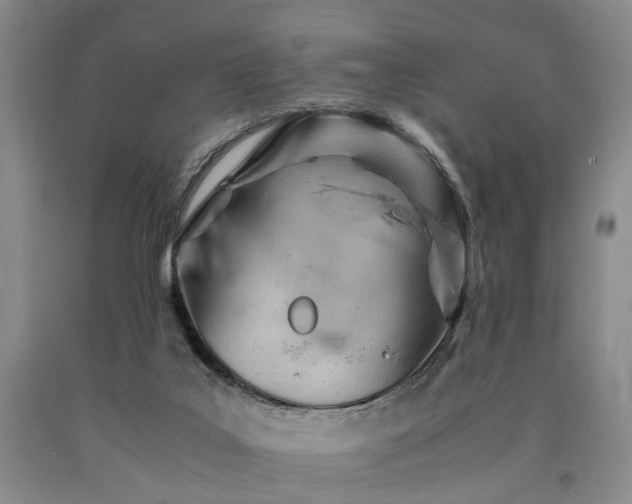 X0000090880019200707271321