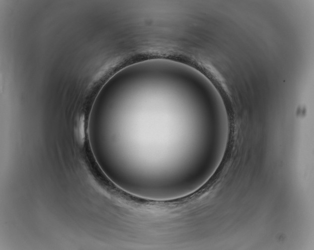 X0000090880020200707271321