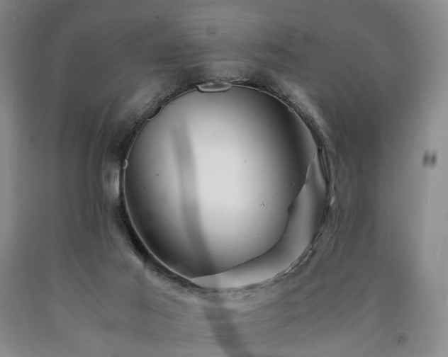 X0000090880021200707271321