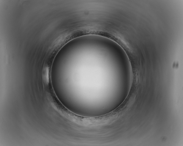 X0000090880022200707271321