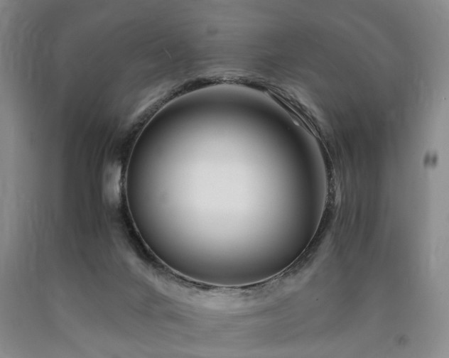X0000090880024200707271321