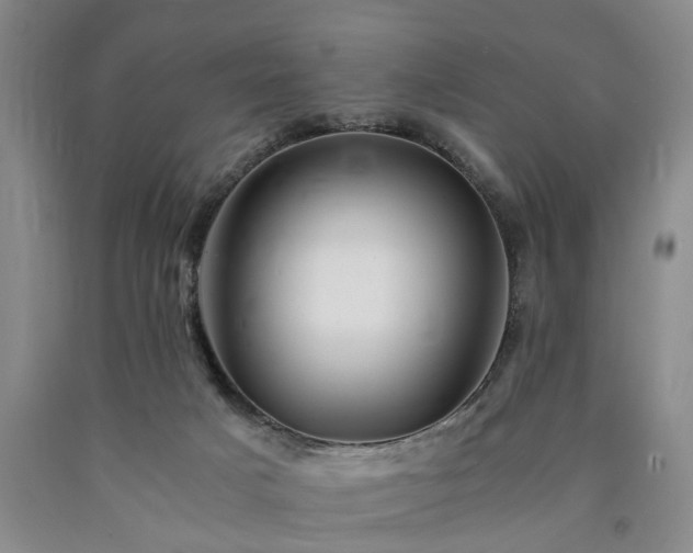 X0000090880025200707271321