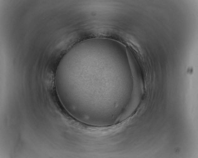 X0000090880029200707271320