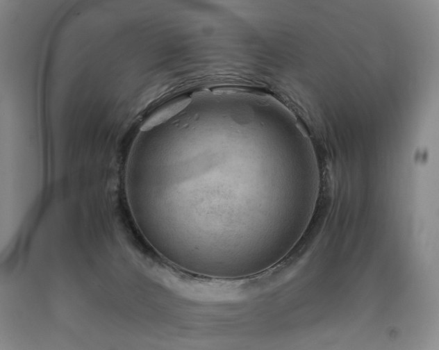X0000090880032200707271320