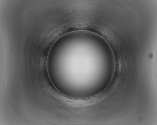 X0000090880034200707271320