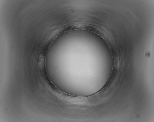 X0000090880036200707271320