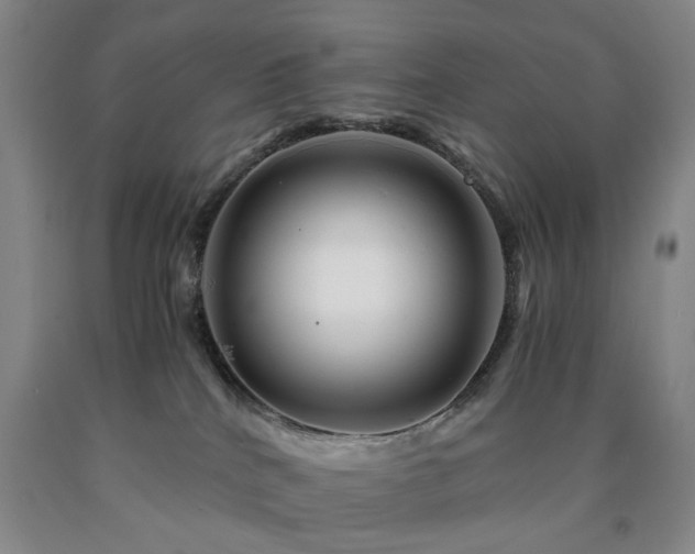 X0000090880040200707271320