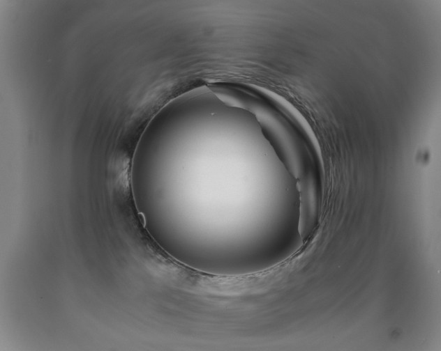 X0000090880041200707271320