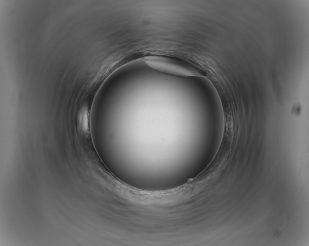 X0000090880046200707271320