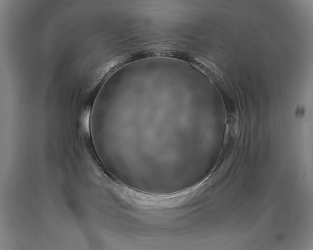 X0000090880047200707271320