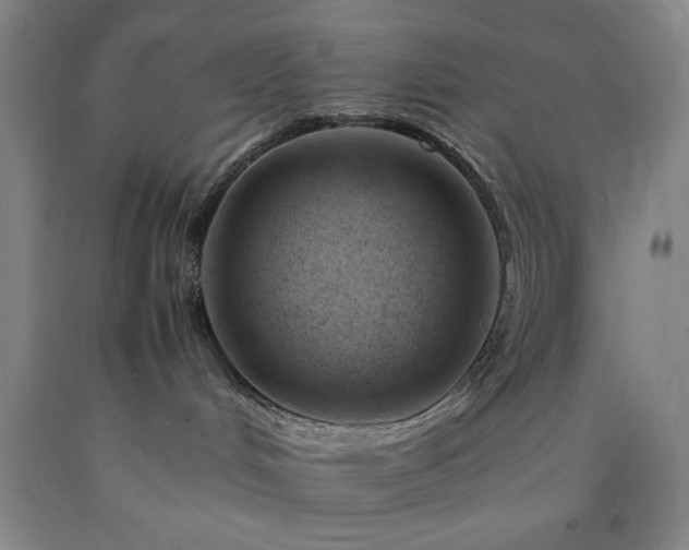 X0000090880048200707271320