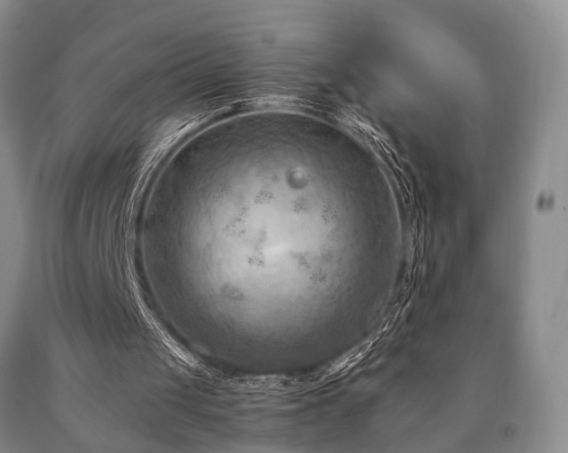 X0000090880049200707271319