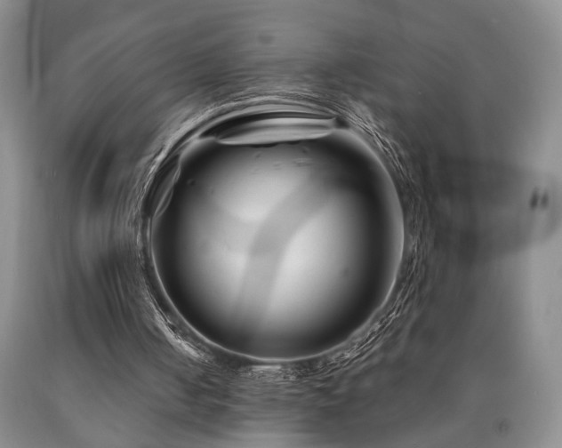 X0000090880050200707271319