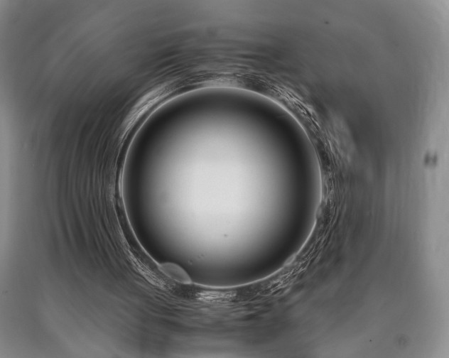 X0000090880051200707271319