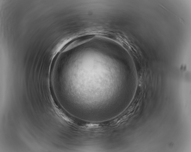X0000090880052200707271319