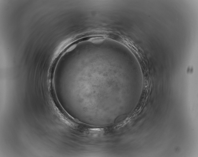 X0000090880053200707271320