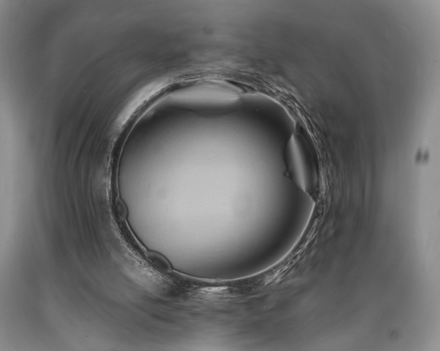 X0000090880054200707271320