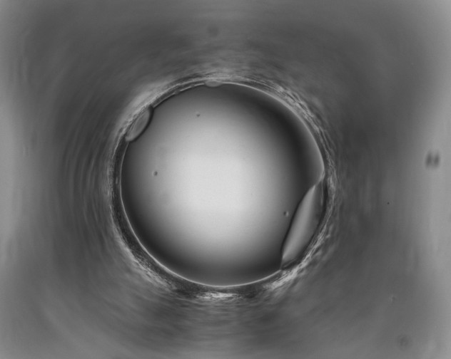 X0000090880055200707271320