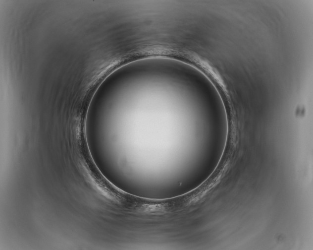 X0000090880057200707271320