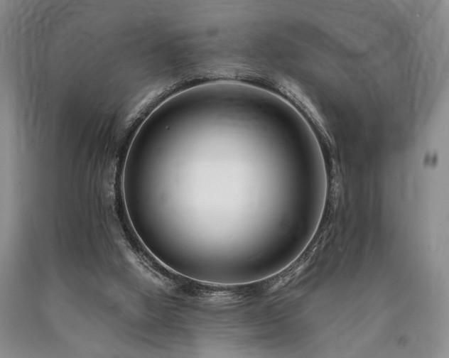 X0000090880058200707271320