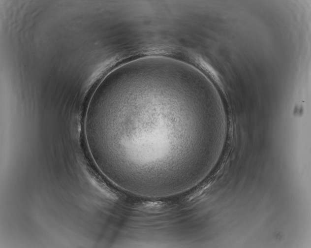 X0000090880059200707271320