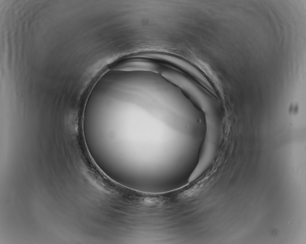X0000090880060200707271320