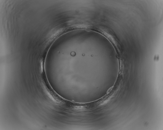 X0000090880061200707271320