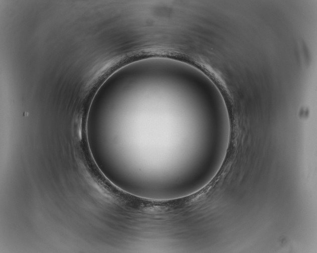 X0000090880062200707271320