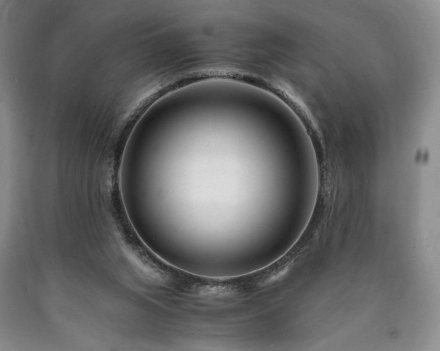 X0000090880063200707271320