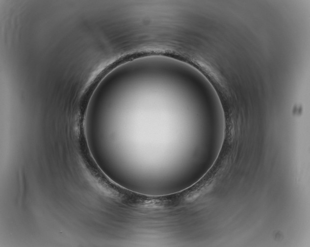X0000090880064200707271320