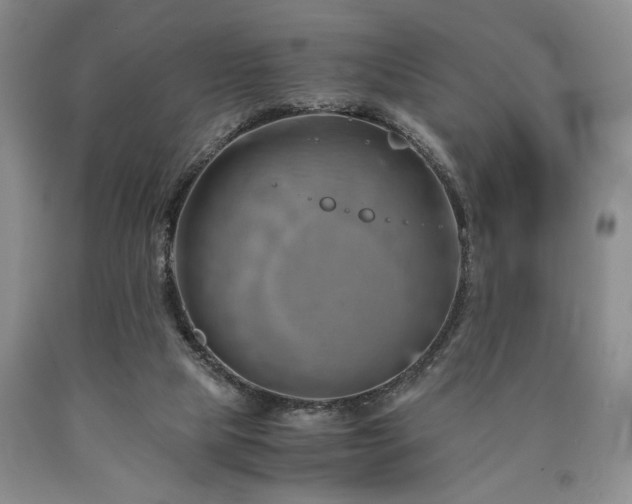 X0000090880065200707271320