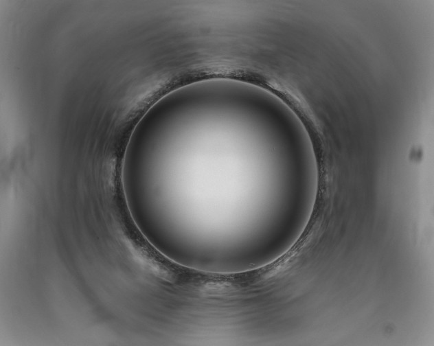 X0000090880066200707271320