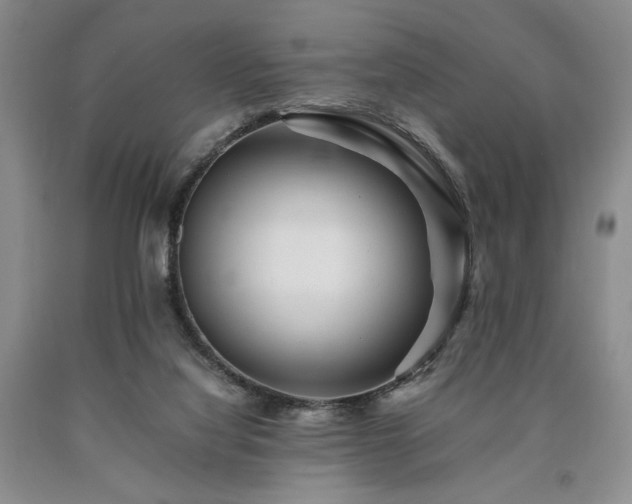 X0000090880068200707271320