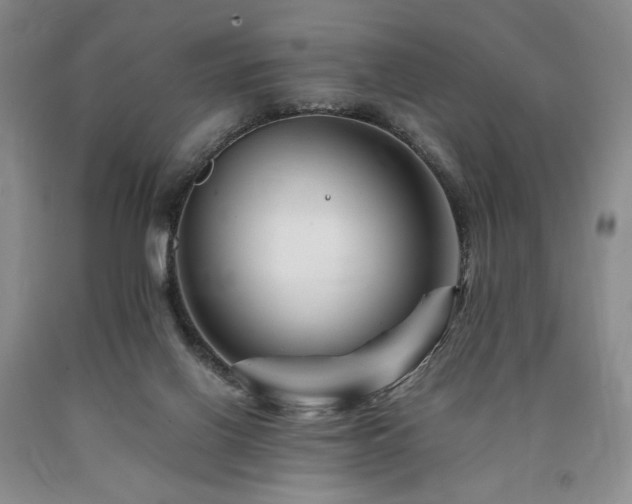 X0000090880070200707271320