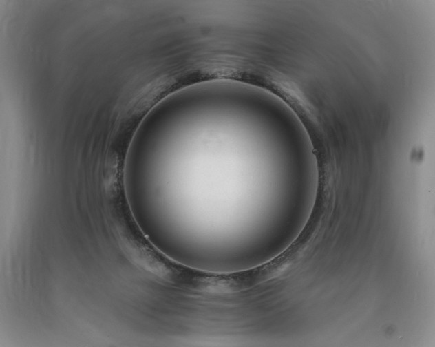 X0000090880073200707271320