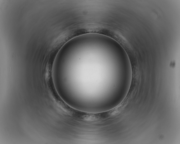 X0000090880074200707271320